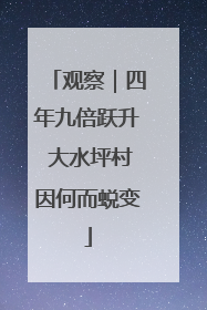 观察｜四年九倍跃升 大水坪村因何而蜕变