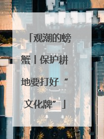 观潮的螃蟹丨保护耕地要打好“文化牌”