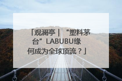 观澜亭｜“塑料茅台”LABUBU缘何成为全球顶流？