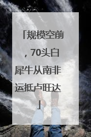 规模空前，70头白犀牛从南非运抵卢旺达