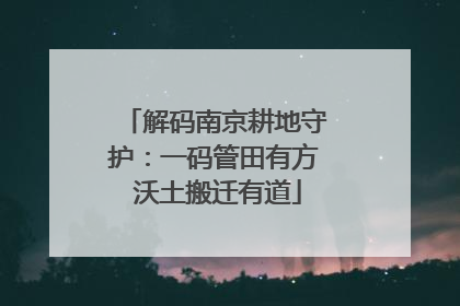 解码南京耕地守护：一码管田有方 沃土搬迁有道