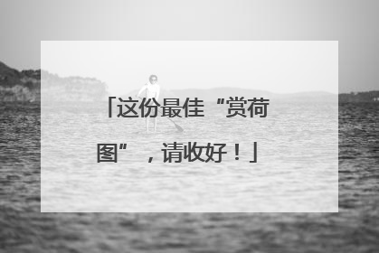 这份最佳“赏荷图”，请收好！