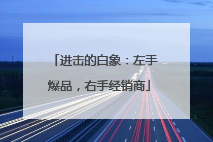 进击的白象：左手爆品，右手经销商