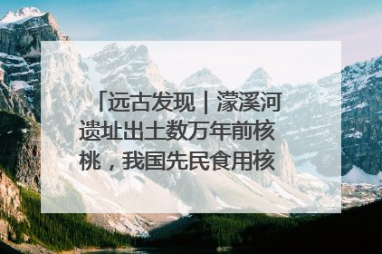 远古发现｜濛溪河遗址出土数万年前核桃，我国先民食用核桃历史大幅提前