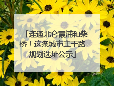连通北仑霞浦和柴桥！这条城市主干路规划选址公示