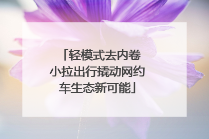 轻模式去内卷 小拉出行撬动网约车生态新可能