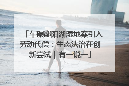 车碾鄱阳湖湿地案引入劳动代偿：生态法治在创新尝试｜有一说一