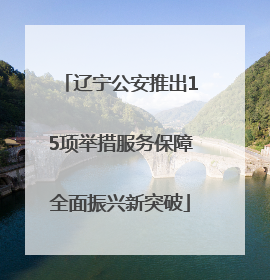 辽宁公安推出15项举措服务保障全面振兴新突破