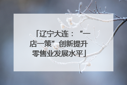 辽宁大连：“一店一策”创新提升零售业发展水平