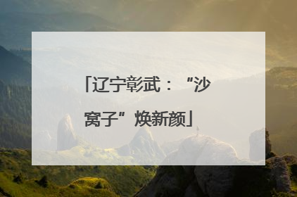 辽宁彰武：“沙窝子”焕新颜