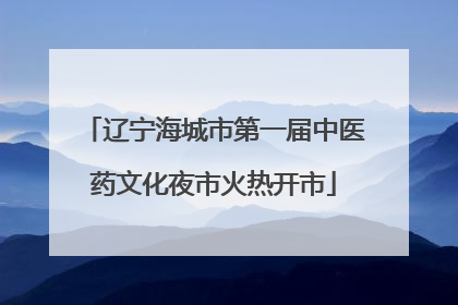辽宁海城市第一届中医药文化夜市火热开市