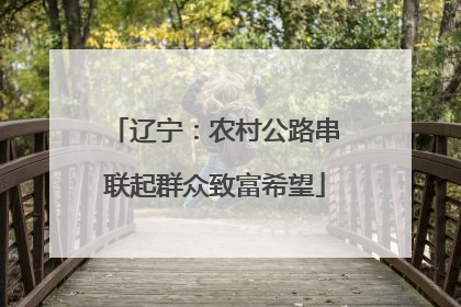 辽宁：农村公路串联起群众致富希望