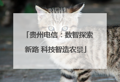 贵州电信：数智探索新路 科技智造农景