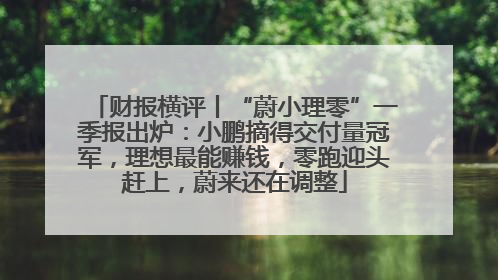 财报横评丨“蔚小理零”一季报出炉：小鹏摘得交付量冠军，理想最能赚钱，零跑迎头赶上，蔚来还在调整