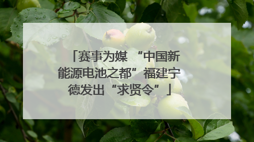 赛事为媒 “中国新能源电池之都”福建宁德发出“求贤令”