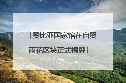 赞比亚国家馆在自贸雨花区块正式揭牌