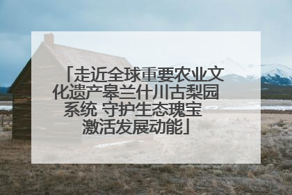 走近全球重要农业文化遗产皋兰什川古梨园系统 守护生态瑰宝 激活发展动能