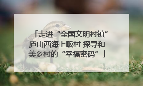 走进“全国文明村镇”庐山西海上畈村 探寻和美乡村的“幸福密码”