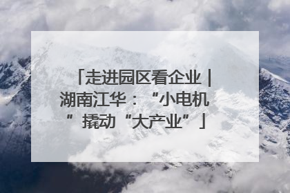 走进园区看企业｜湖南江华：“小电机”撬动“大产业”