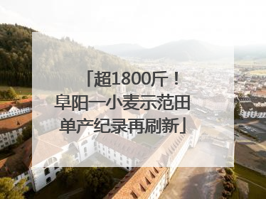 超1800斤！阜阳一小麦示范田单产纪录再刷新