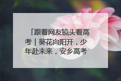跟着网友镜头看高考｜葵花向阳开，少年赴未来，安乡高考首日的希望图景