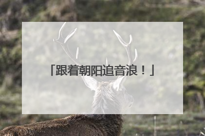 跟着朝阳追音浪！