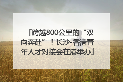 跨越800公里的“双向奔赴”！长沙-香港青年人才对接会在港举办
