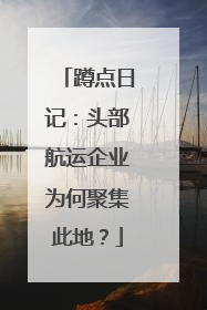 蹲点日记：头部航运企业为何聚集此地？
