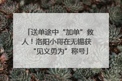 送单途中“加单”救人！洛阳小哥在无锡获“见义勇为”称号