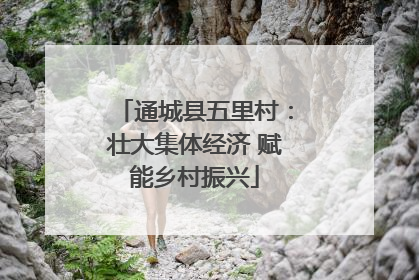 通城县五里村：壮大集体经济 赋能乡村振兴