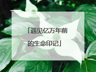 遇见亿万年前的生命印记
