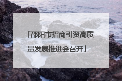 邵阳市招商引资高质量发展推进会召开