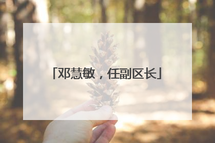 邓慧敏，任副区长