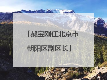 郝宝刚任北京市朝阳区副区长
