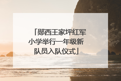 郧西王家坪红军小学举行一年级新队员入队仪式