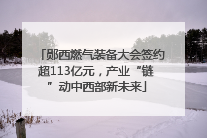 郧西燃气装备大会签约超113亿元，产业“链”动中西部新未来