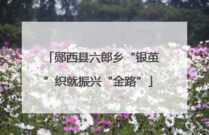 郧西县六郎乡“银茧”织就振兴“金路”
