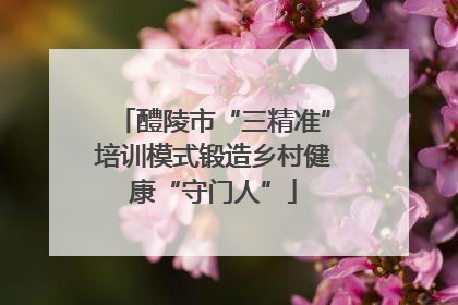 醴陵市“三精准”培训模式锻造乡村健康“守门人”