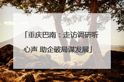 重庆巴南：走访调研听心声 助企破局谋发展