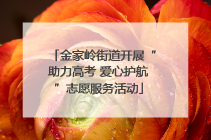 金家岭街道开展“助力高考 爱心护航”志愿服务活动