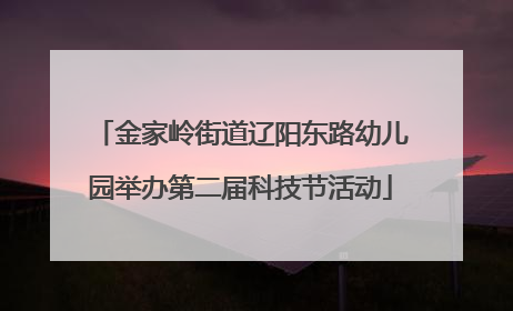 金家岭街道辽阳东路幼儿园举办第二届科技节活动