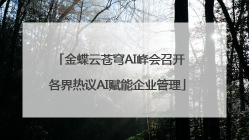金蝶云苍穹AI峰会召开 各界热议AI赋能企业管理