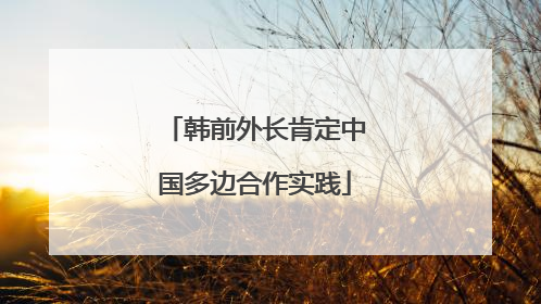 韩前外长肯定中国多边合作实践