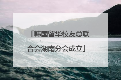 韩国留华校友总联合会湖南分会成立