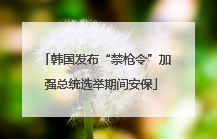 韩国发布“禁枪令”加强总统选举期间安保