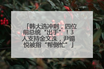 韩大选冲刺，四位前总统“出手”！3人支持金文洙，尹锡悦被指“帮倒忙”
