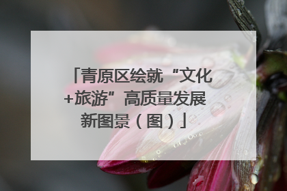 青原区绘就“文化+旅游”高质量发展新图景（图）