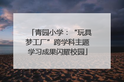青园小学：“玩具梦工厂”跨学科主题学习成果闪耀校园