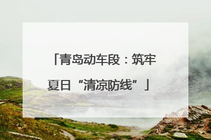 青岛动车段：筑牢夏日“清凉防线”