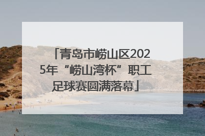 青岛市崂山区2025年“崂山湾杯”职工足球赛圆满落幕